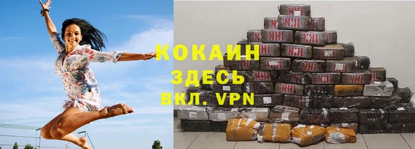 прущие грибы Абаза