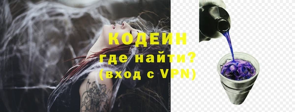 прущие грибы Абаза