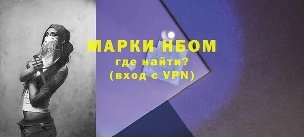 прущие грибы Абаза
