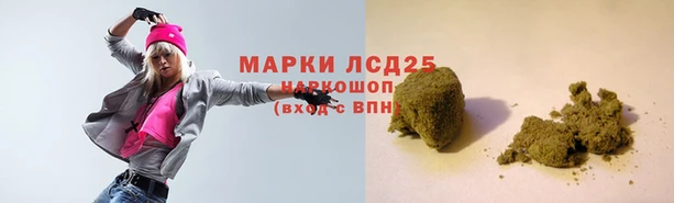 прущие грибы Абаза