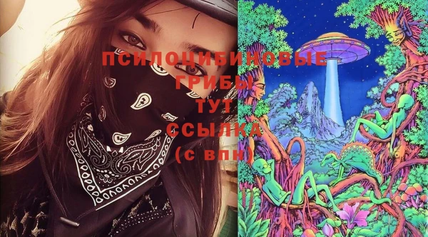 гидропоника Алексеевка