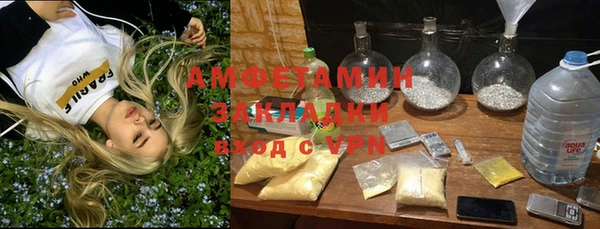 прущие грибы Абаза