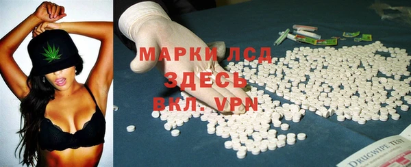 прущие грибы Абаза