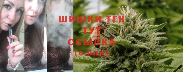 прущие грибы Абаза