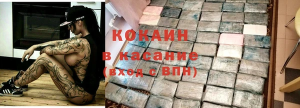 прущие грибы Абаза