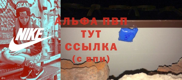 прущие грибы Абаза