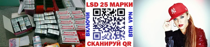 где найти наркотики  Элиста  блэк спрут вход  ЛСД экстази ecstasy 