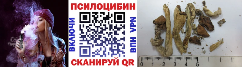 Псилоцибиновые грибы GOLDEN TEACHER  это Telegram  Элиста 