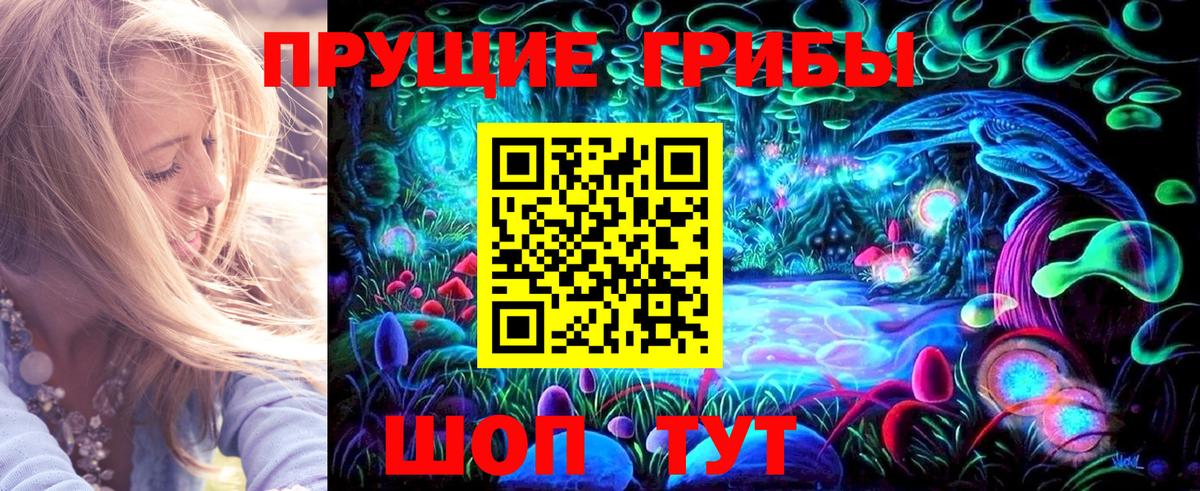 Элиста  Псилоцибиновые грибы MAGIC MUSHROOMS  Вход с VPN 