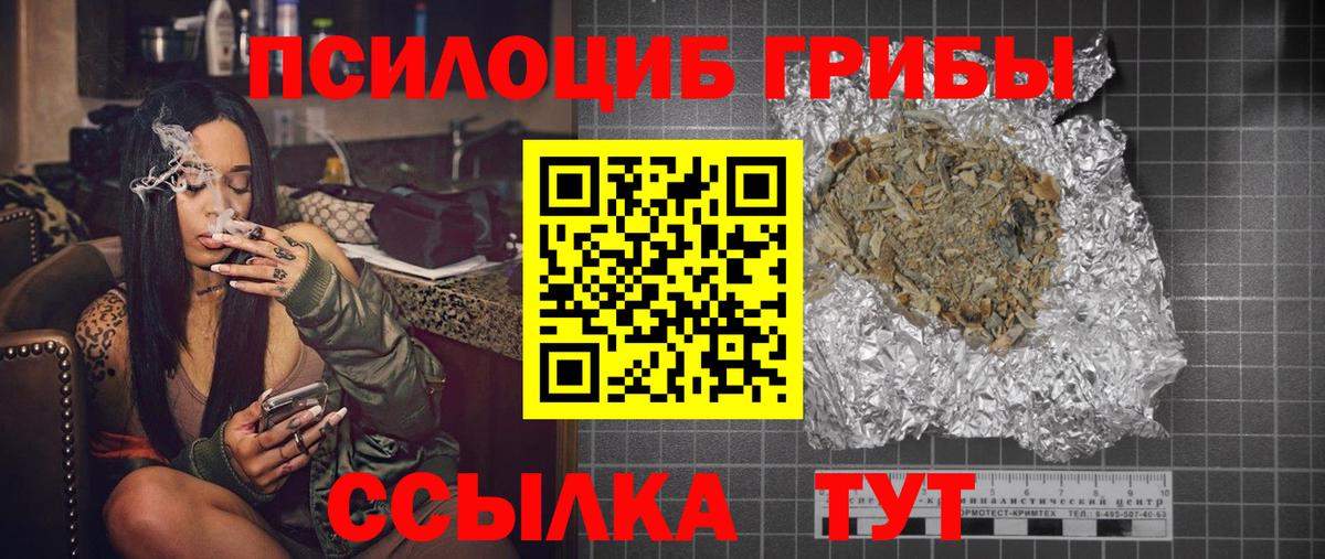 Псилоцибиновые грибы Psilocybine cubensis Элиста